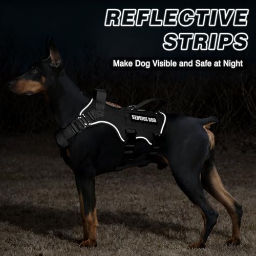 MOOGROU Tactical Service Dog Vest and Leash Set,Heavy Duty Harness with Metal Buckles for Large Dogs,Adjustable No Pull Pet Vest with 10 Patches,for Training Working Hiking,Black L