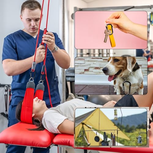 6PCS Carabiner Clip - Heavy Duty Iron Carabiners 800lbs Carabeaner D Ring Shape,Key Chain Clip Hook,Keychain Clip,Multipurpose for Camping, Hiking,Backpacking or Other Outdoor Activities, Black.