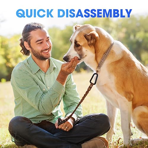 Heavy Duty Carabiner Clip, Steel Carabiners 1100lbs 3" D Shaped Spring Hook Small Clips for Hammocks, Hiking, Keychains, Outdoors and Gym, Dog Leash and Key Ring (6PCS 3'' Clips)