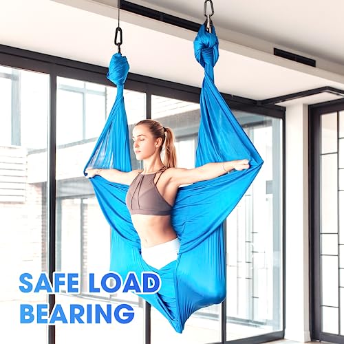 Heavy Duty Carabiner Clip, Steel Carabiners 1100lbs 3" D Shaped Spring Hook Small Clips for Hammocks, Hiking, Keychains, Outdoors and Gym, Dog Leash and Key Ring (6PCS 3'' Clips)