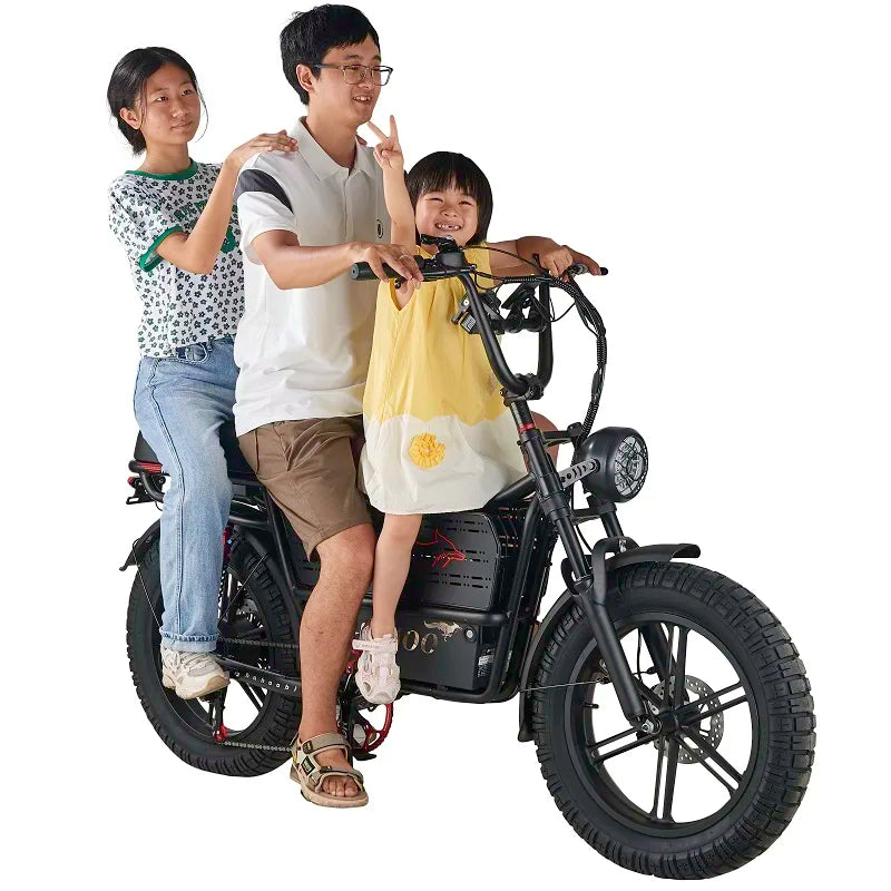 HAHOO H20 20 inches adult electric mountain bike 2000W brushless motor 48V 60Ah ebike dual suspension off road tyre bicycle