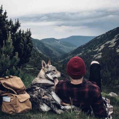 Dog Surf and Turf Meal Kit