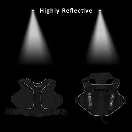 Petmolico Tactical Dog Harness with Leash, No Pull Dog Harness with Hook and Loop Panels for Hiking Training Military Service Dog Harness with Patches for Medium Dogs, Army Green M