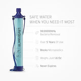 LifeStraw Personal Water Purifier for Hiking, Camping, Travel, and Emergency Preparedness