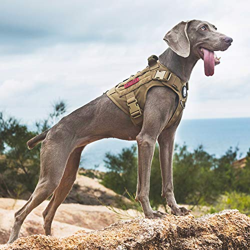 OneTigris Tactical Dog Harness - Fire Watcher Comfortable Patrol Vest (Coyote Brown, Medium)