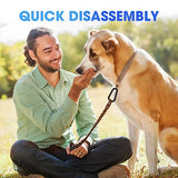 Heavy Duty Carabiner Clip, Steel Carabiners 1100lbs 3" D Shaped Spring Hook Small Clips for Hammocks, Hiking, Keychains, Outdoors and Gym, Dog Leash and Key Ring (6PCS 3'' Clips)